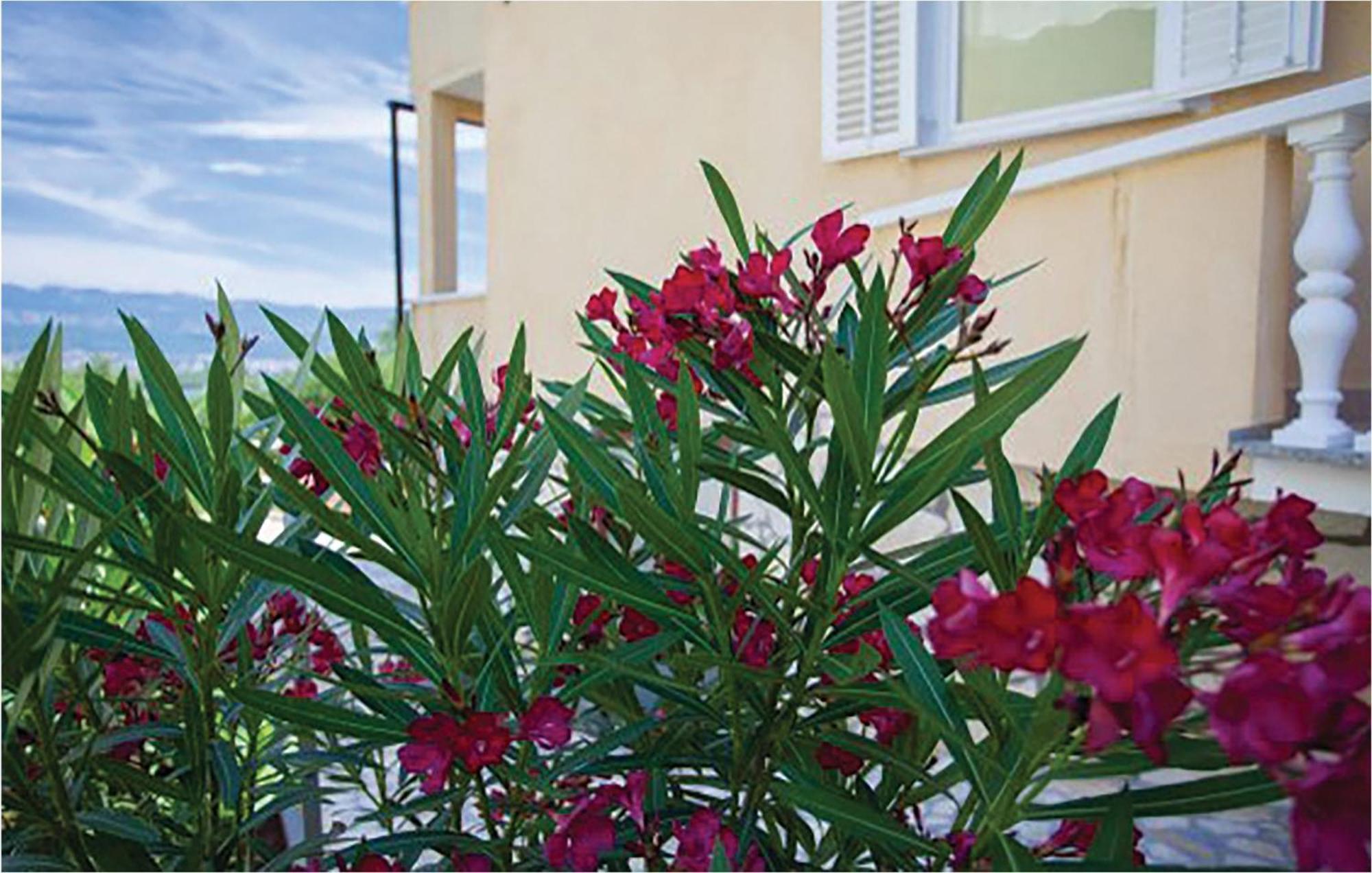 1 Bedroom Beautiful Apartment In Malinska Bagian luar foto